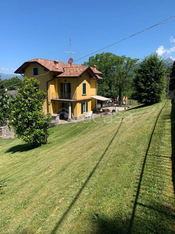 immagine annuncio 9 di 14