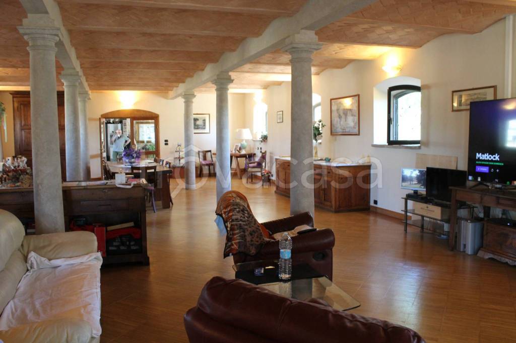 immagine annuncio 9 di 15