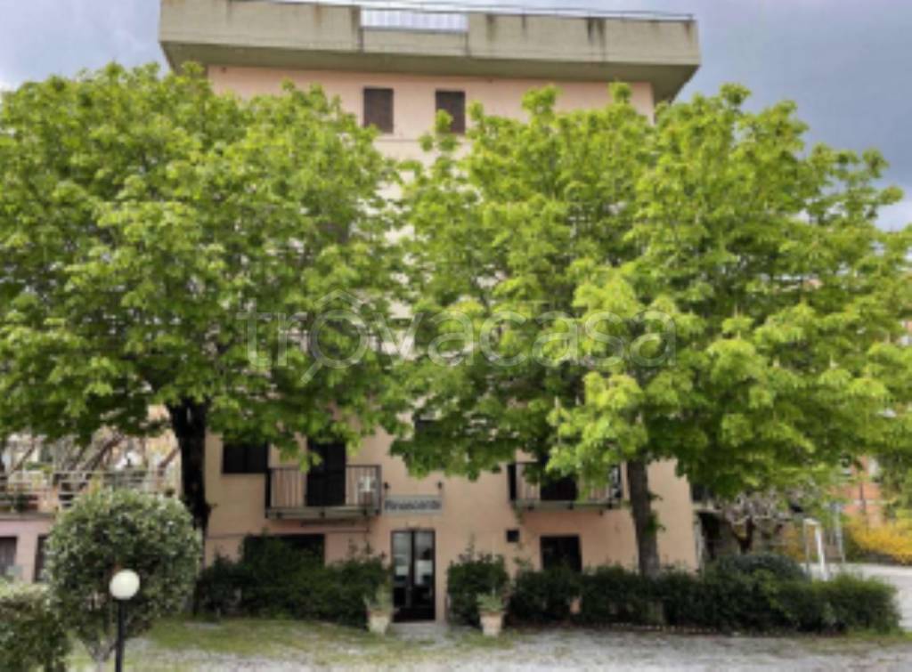 immagine annuncio 6 di 11