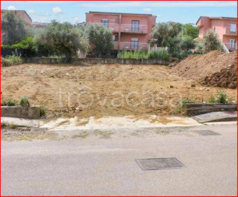 immagine annuncio 4 di 12