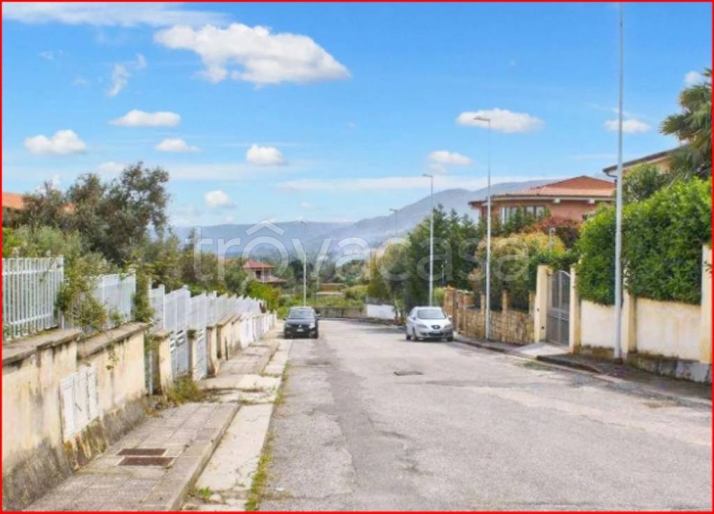 immagine annuncio 9 di 12