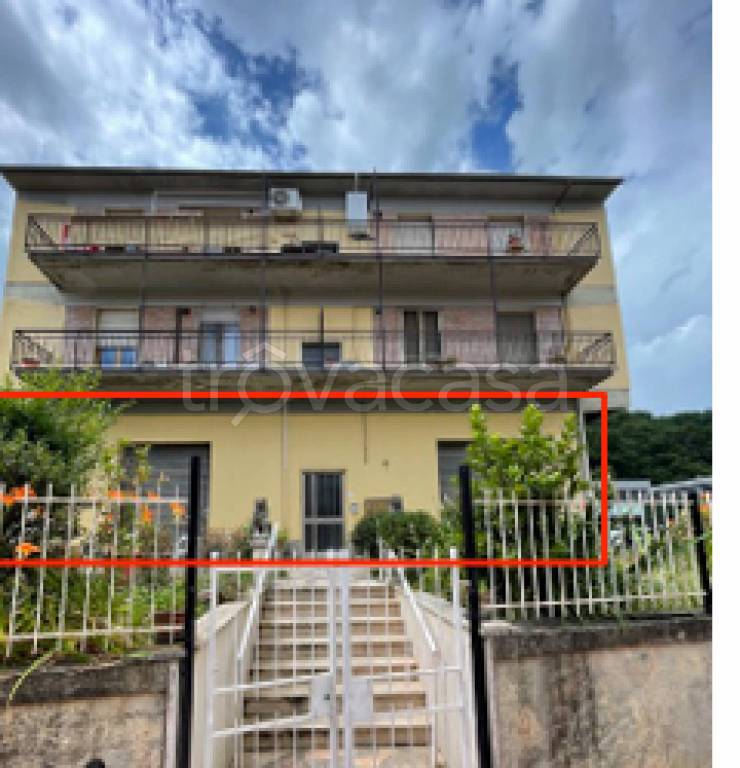 immagine annuncio 9 di 11
