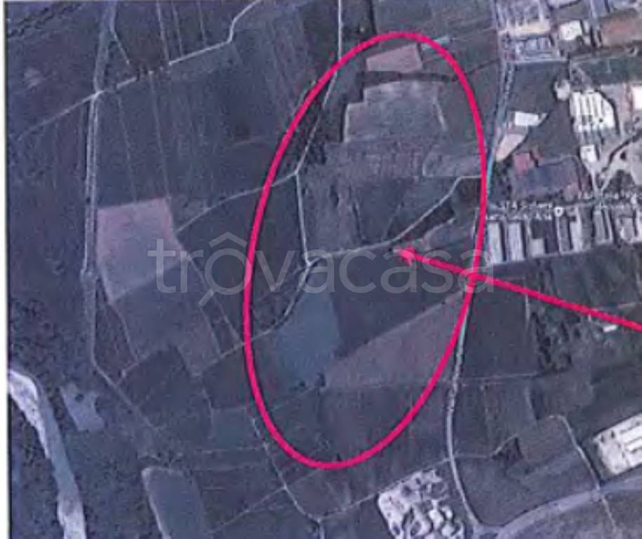 immagine annuncio 3 di 9