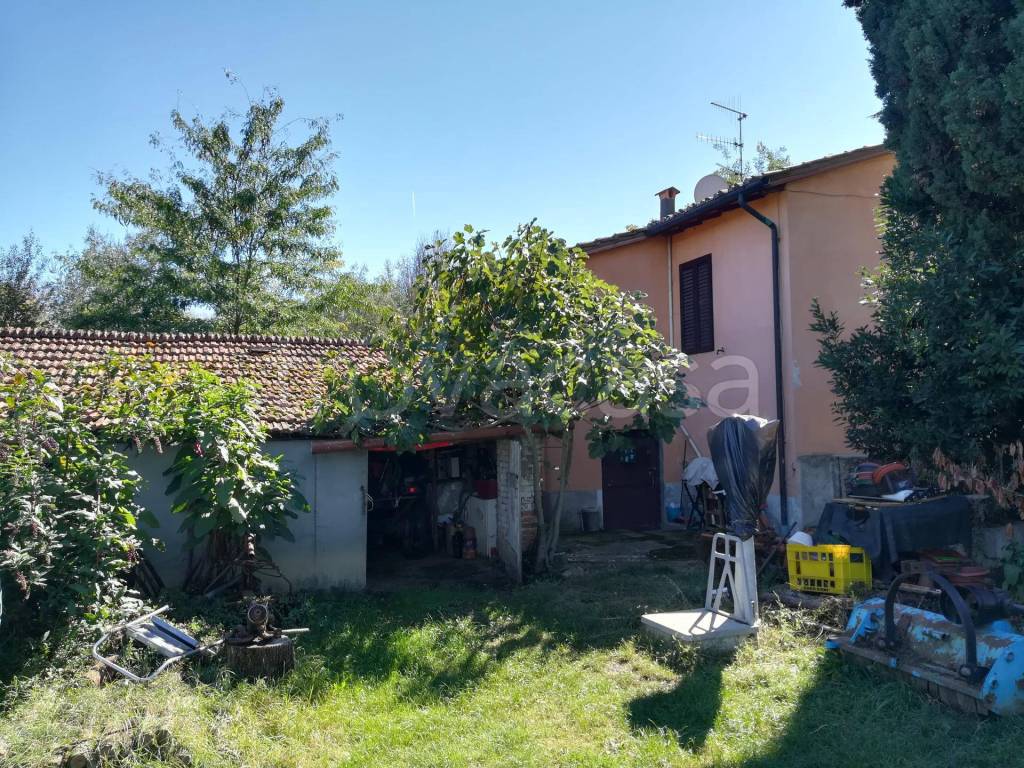 immagine annuncio 2 di 11