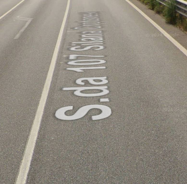 immagine annuncio 1 di 12