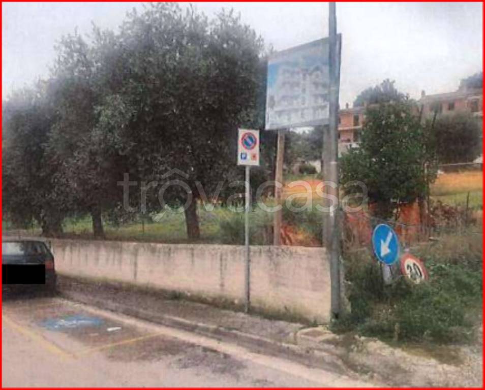 immagine annuncio 5 di 12