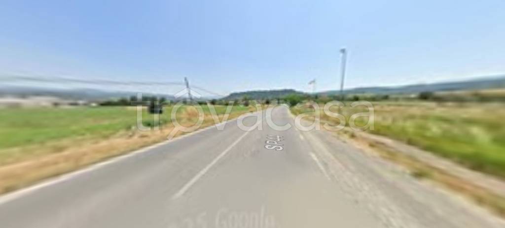 immagine annuncio 9 di 14