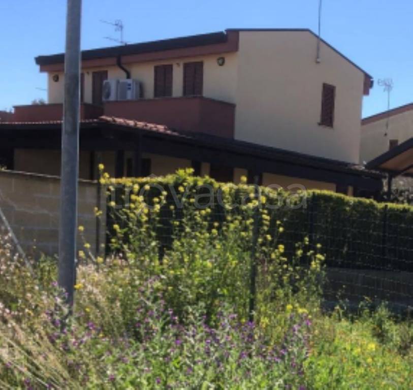 immagine annuncio 7 di 11
