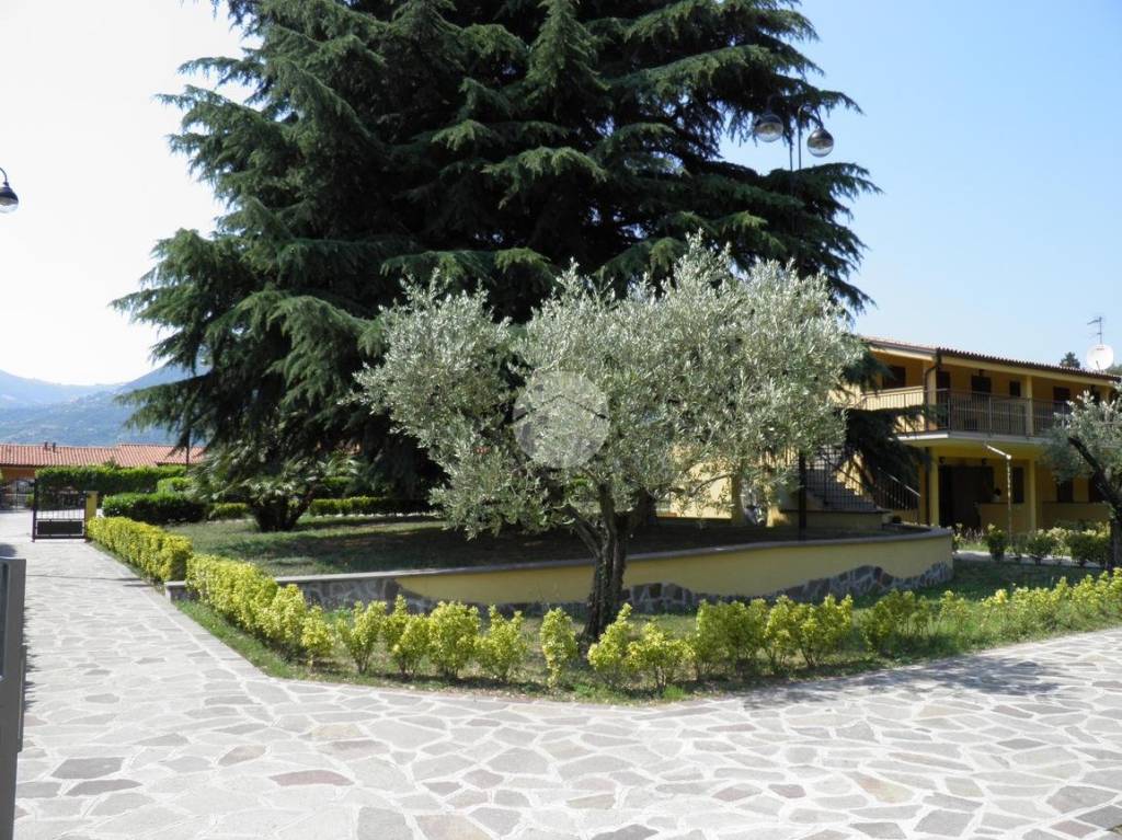 immagine annuncio 12 di 13