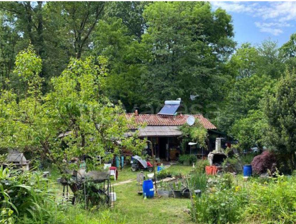 immagine annuncio 2 di 13