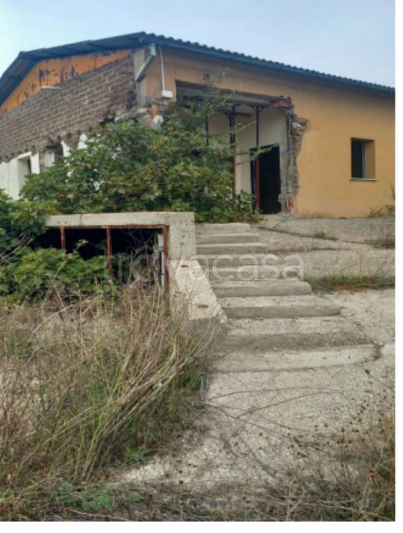 immagine annuncio 5 di 11