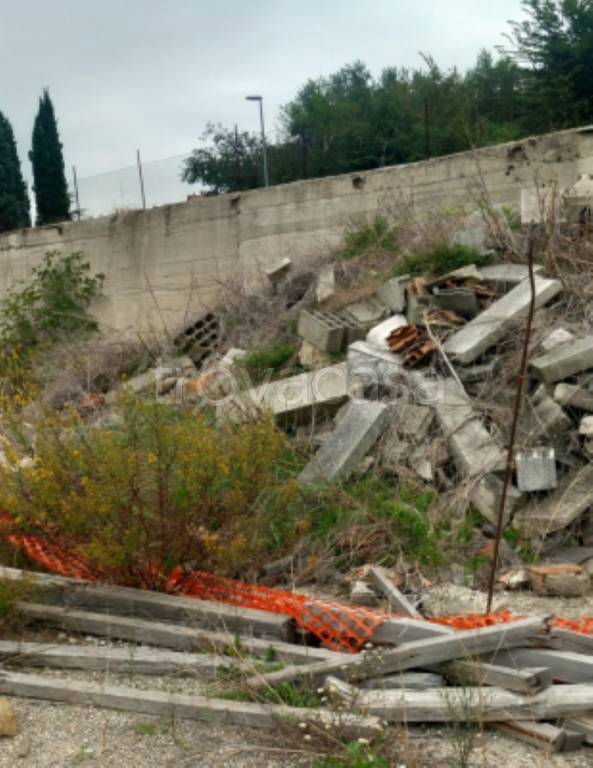 immagine annuncio 6 di 11