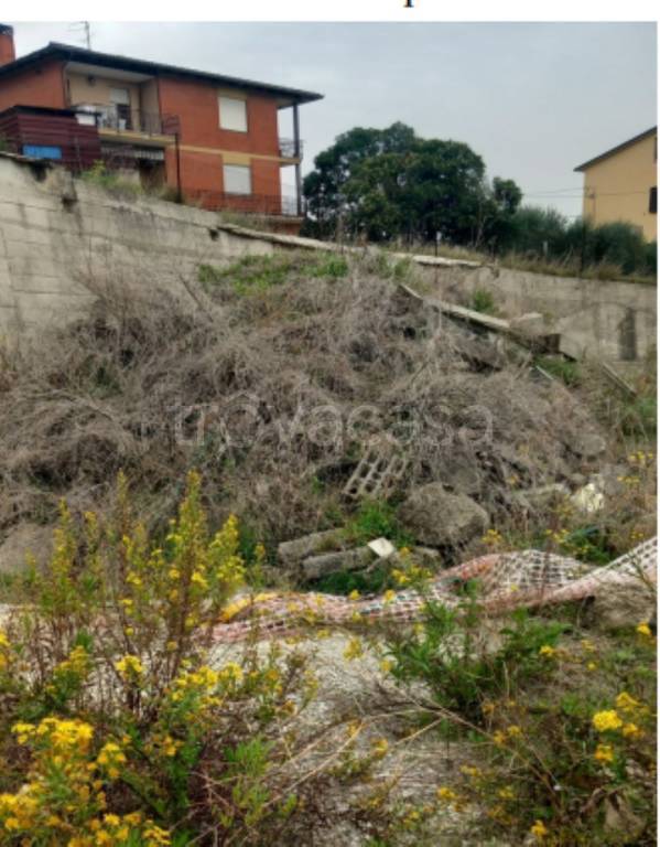 immagine annuncio 7 di 11