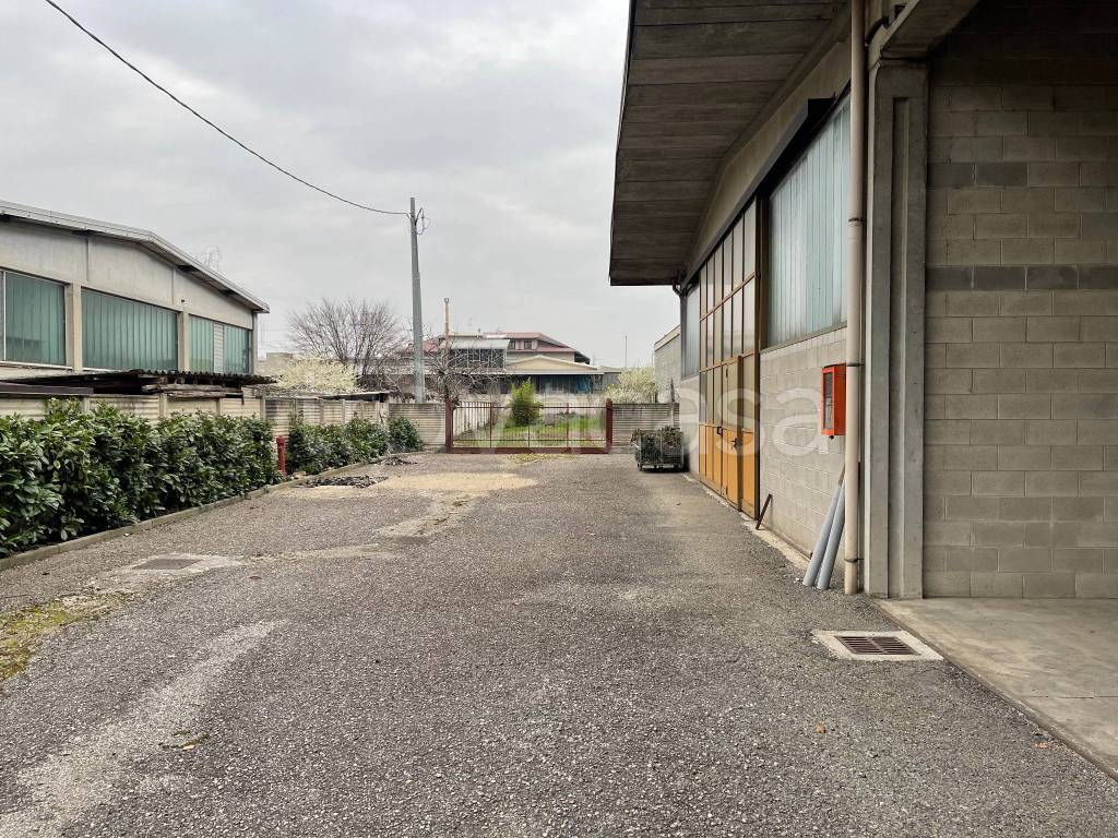 immagine annuncio 3 di 6