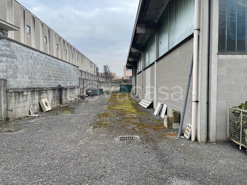 immagine annuncio 4 di 6