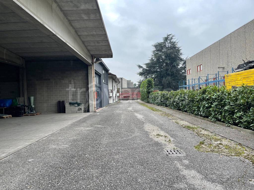 immagine annuncio 5 di 6