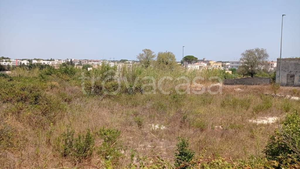 immagine annuncio 2 di 12