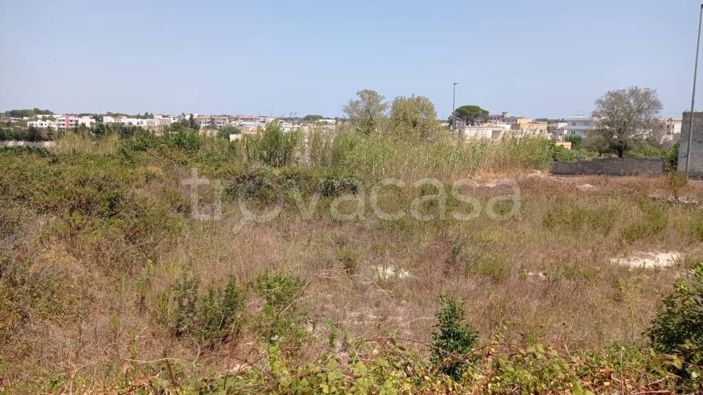 immagine annuncio 3 di 12