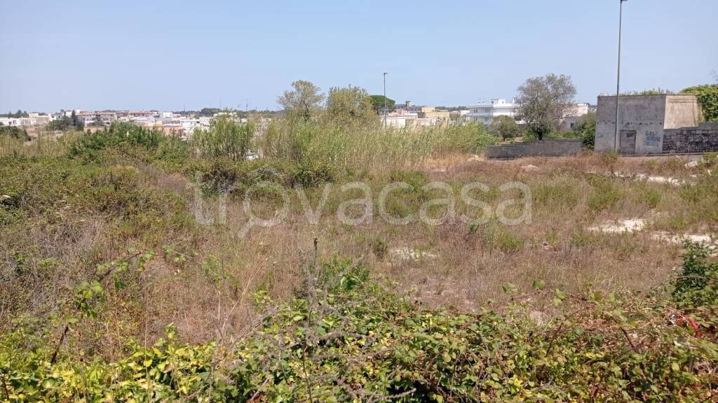 immagine annuncio 4 di 12