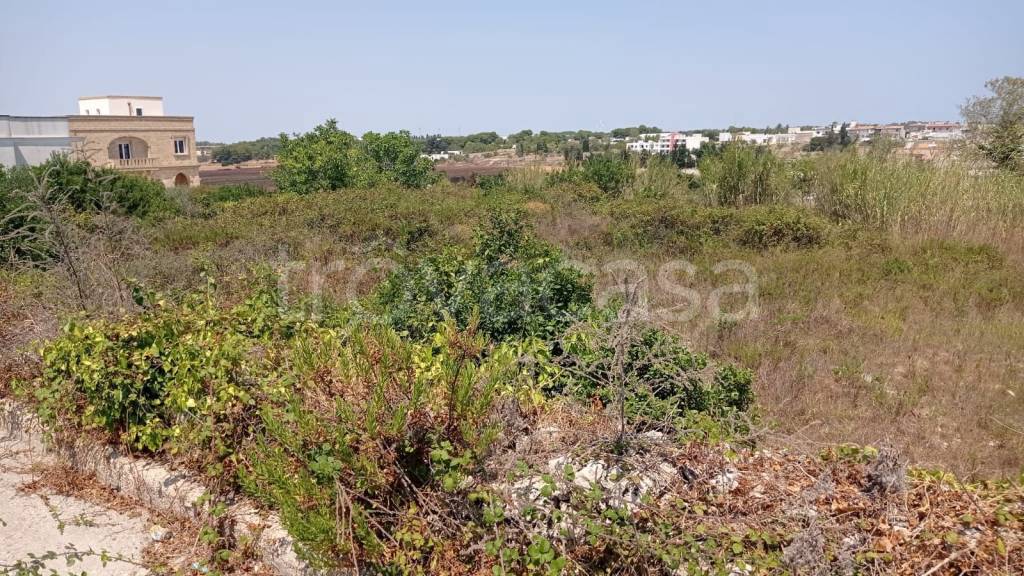 immagine annuncio 5 di 12