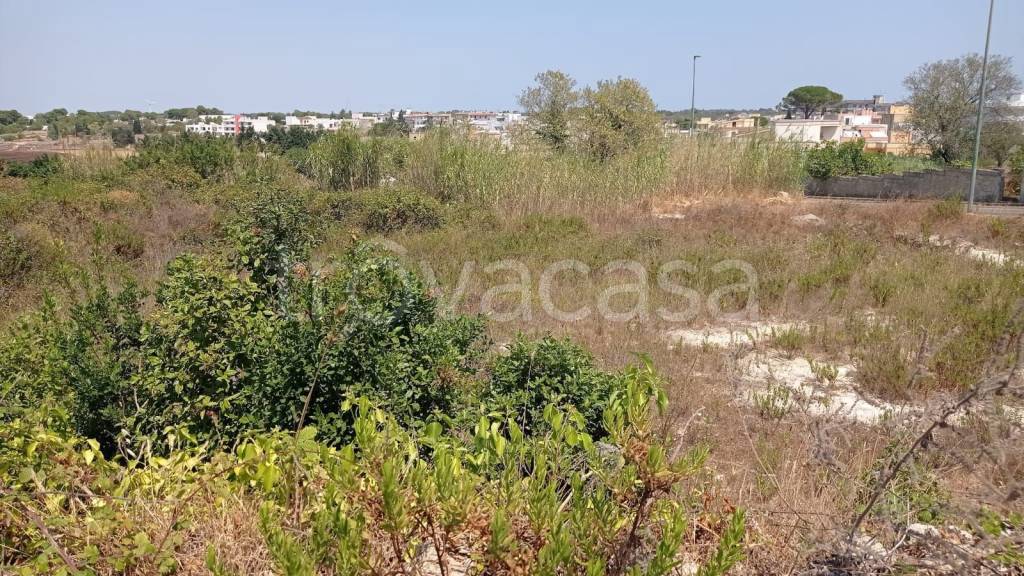 immagine annuncio 8 di 12