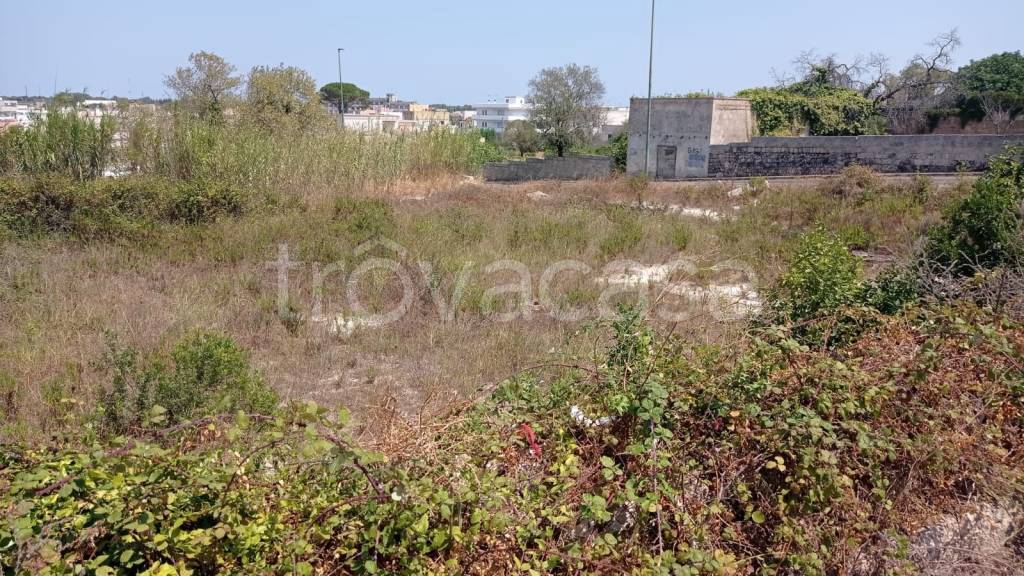 immagine annuncio 9 di 12