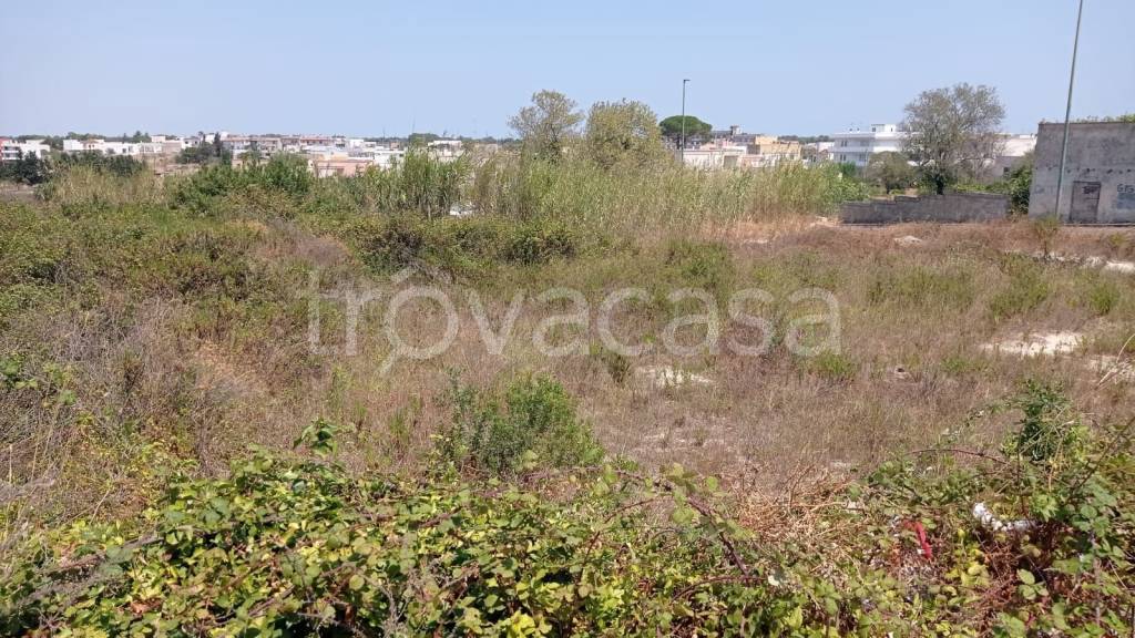 immagine annuncio 10 di 12