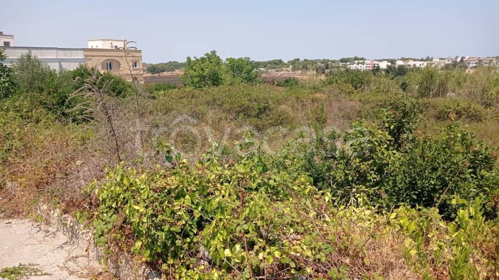 immagine annuncio 11 di 12