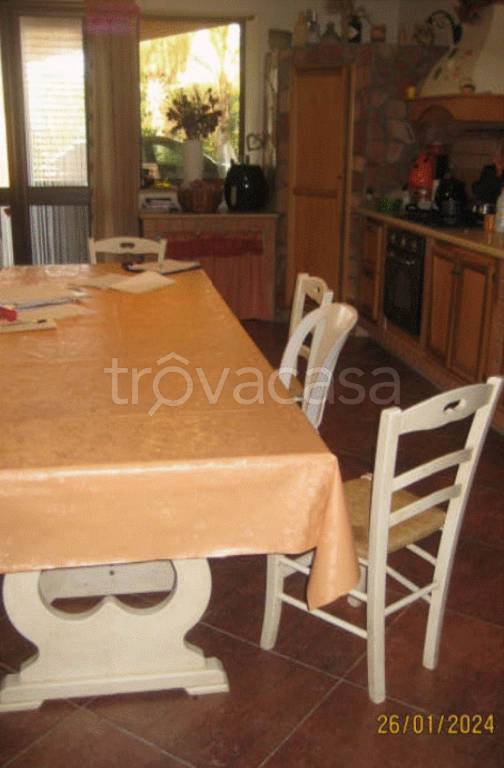 immagine annuncio 12 di 14