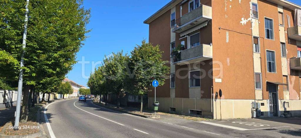 immagine annuncio 3 di 11