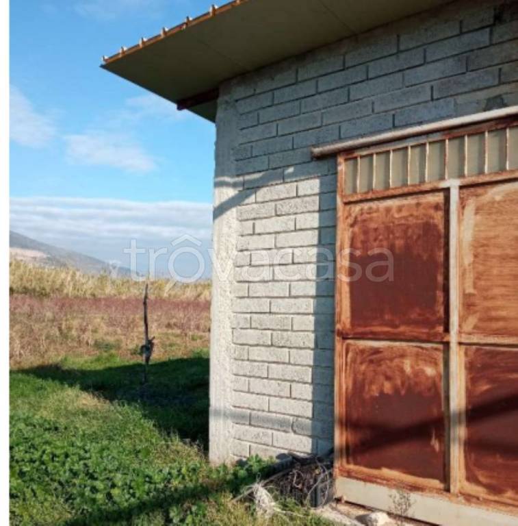 immagine annuncio 3 di 12