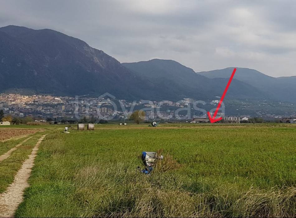 immagine annuncio 2 di 8