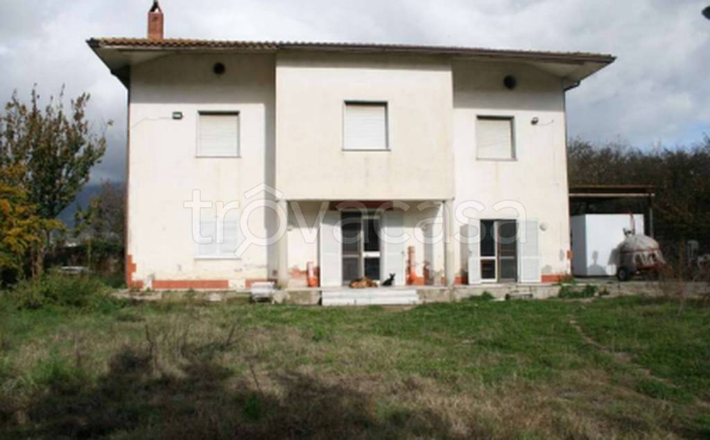 immagine annuncio 7 di 13