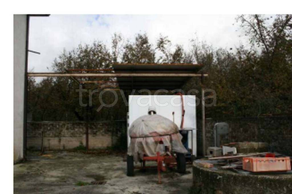 immagine annuncio 11 di 13