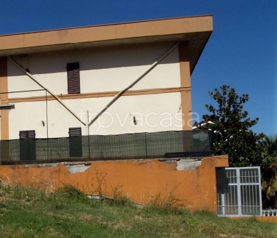 immagine annuncio 3 di 11