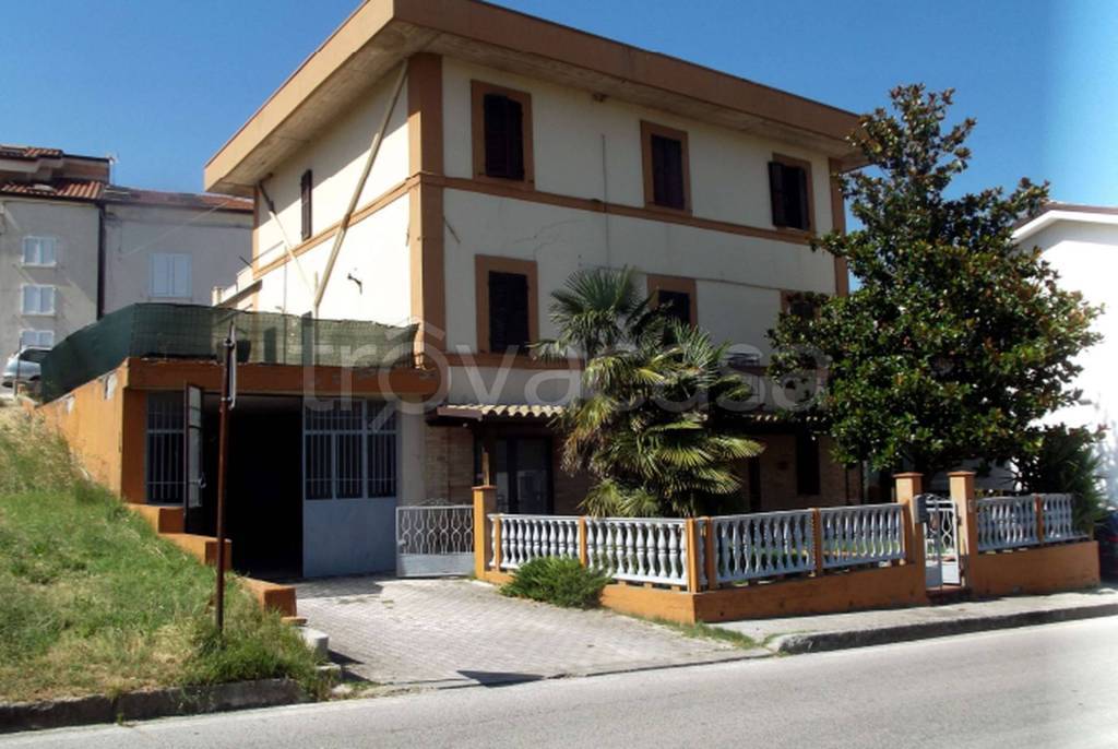 immagine annuncio 9 di 11