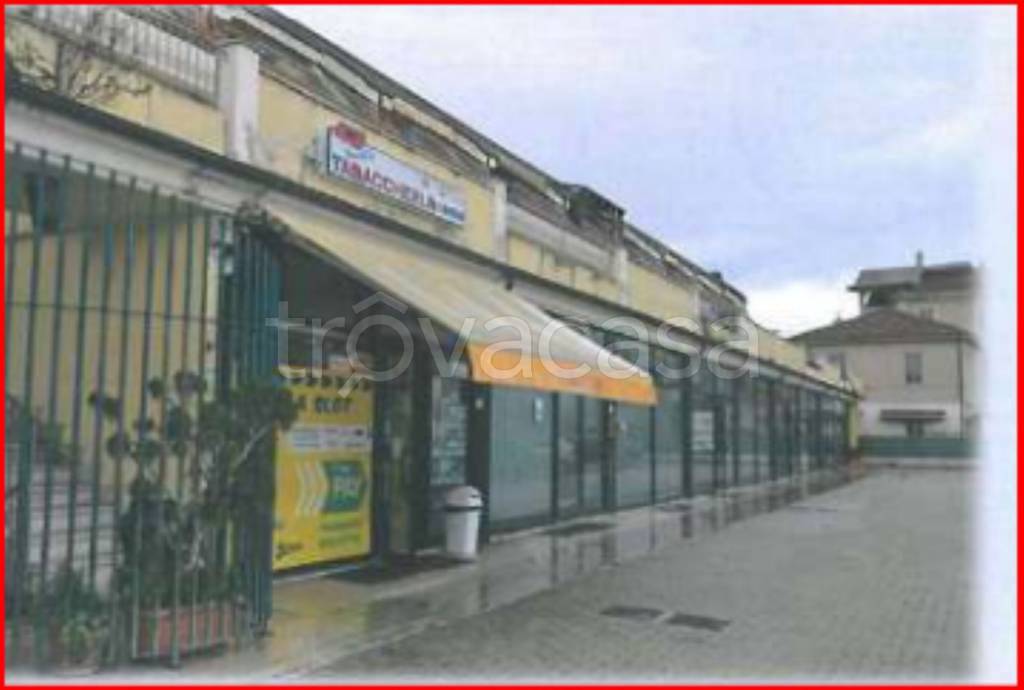 immagine annuncio 1 di 12