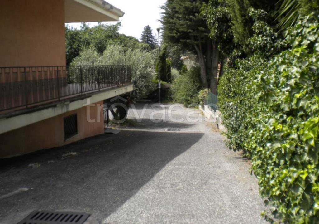 immagine annuncio 7 di 13