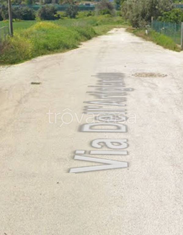 immagine annuncio 7 di 12