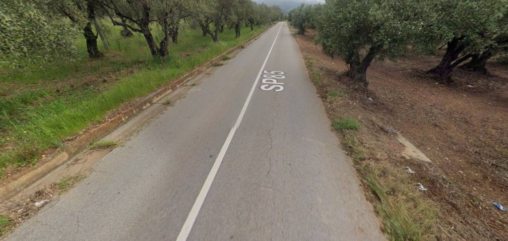 immagine annuncio 9 di 14