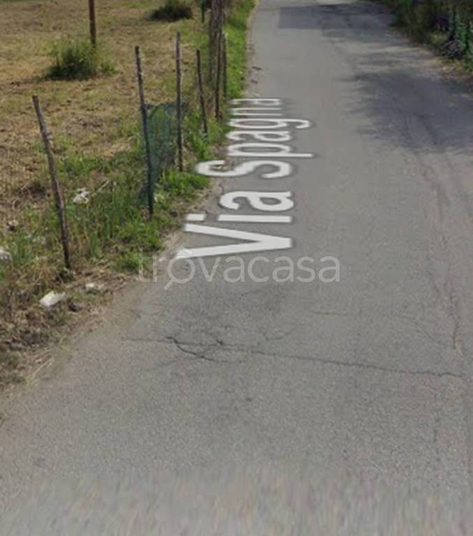 immagine annuncio 10 di 13