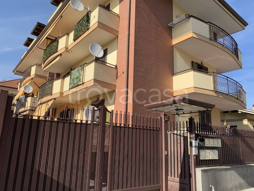 immagine annuncio 1 di 12