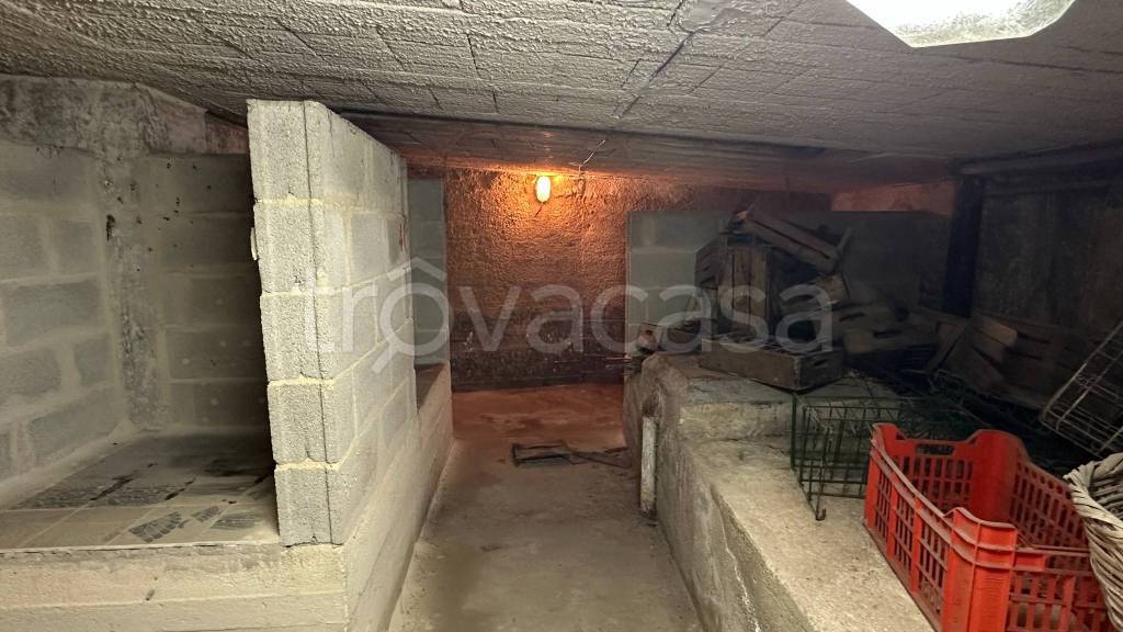 immagine annuncio 4 di 8