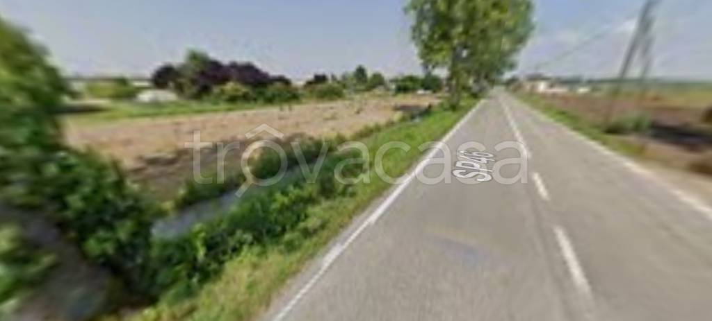 immagine annuncio 6 di 14
