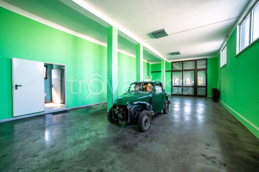 immagine annuncio 9 di 15