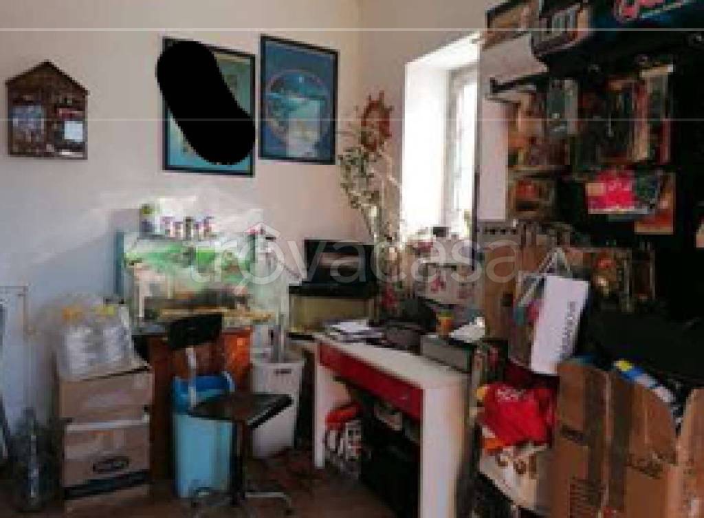 immagine annuncio 3 di 11
