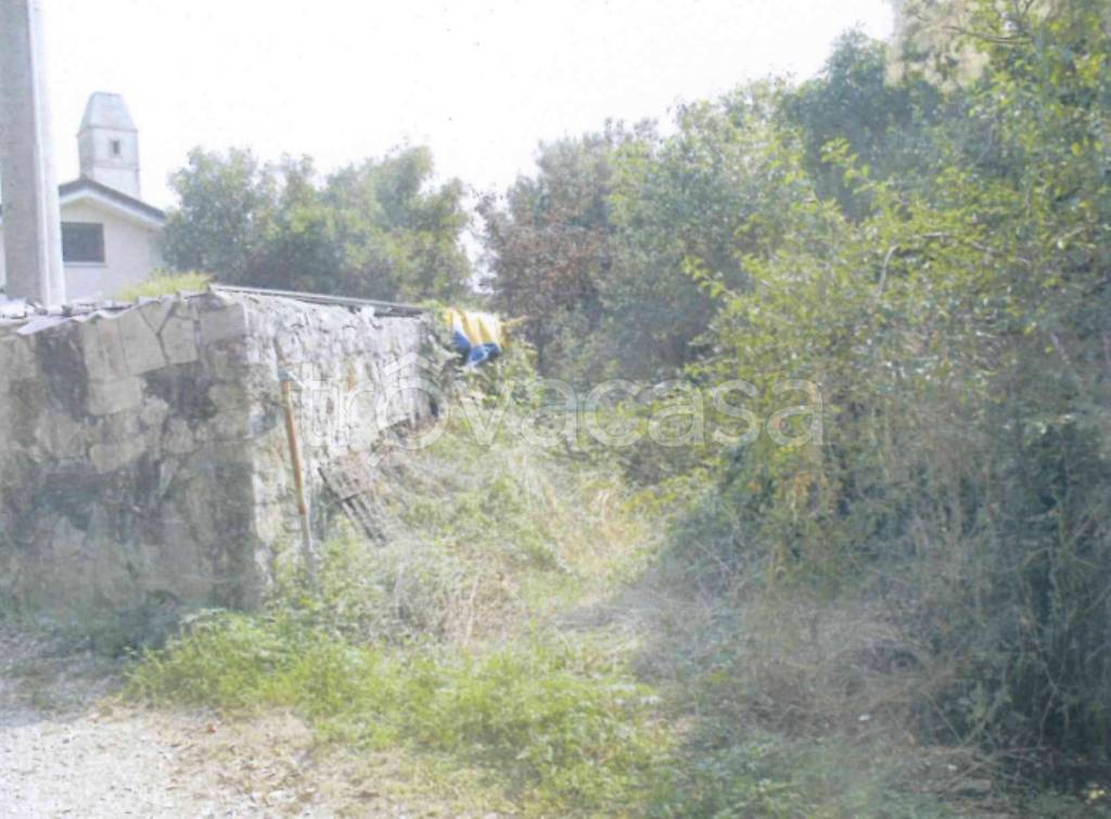 immagine annuncio 9 di 14