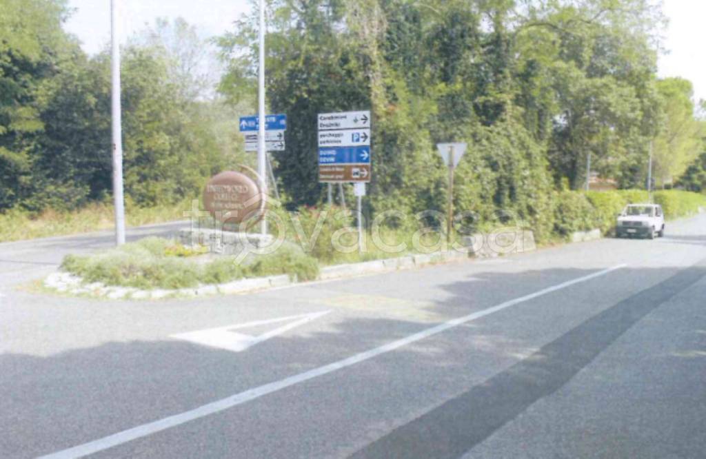 immagine annuncio 11 di 14