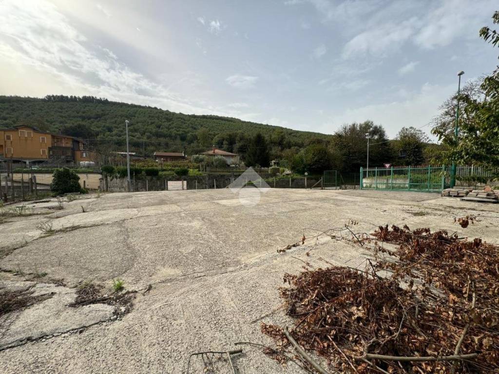 immagine annuncio 2 di 7