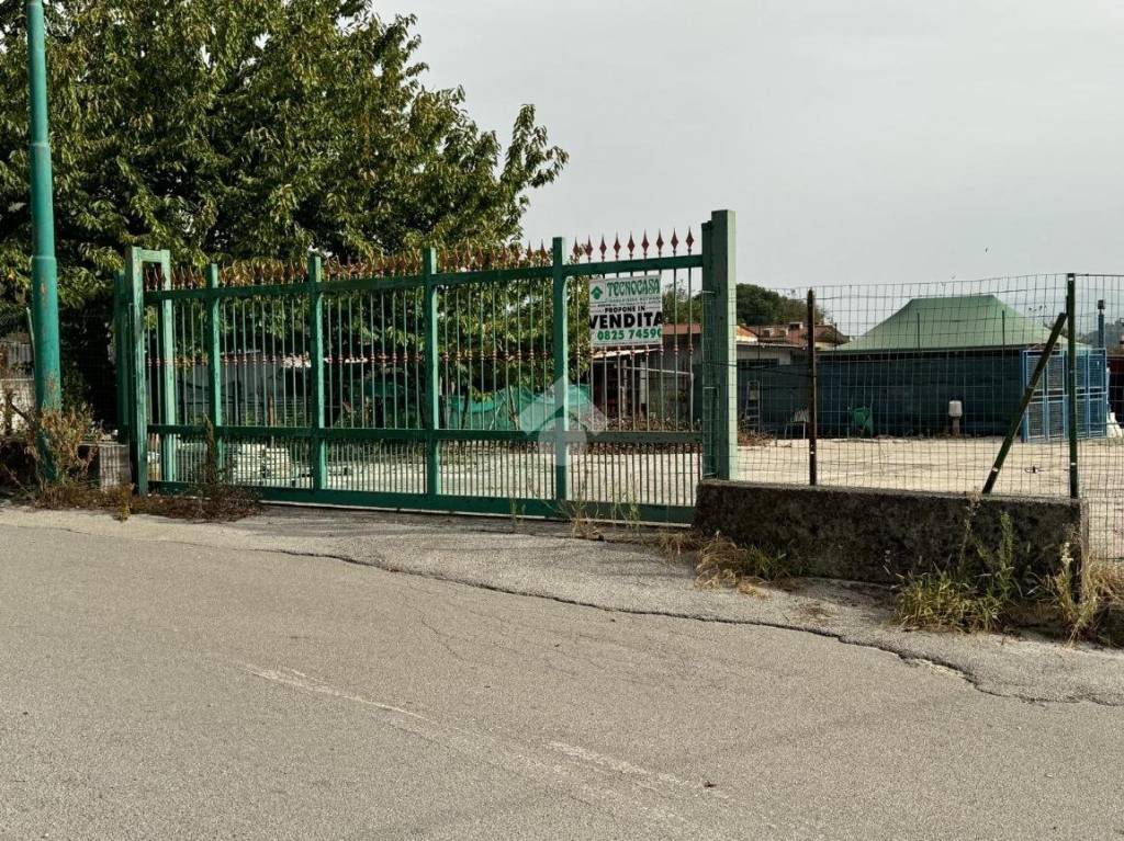 immagine annuncio 3 di 7